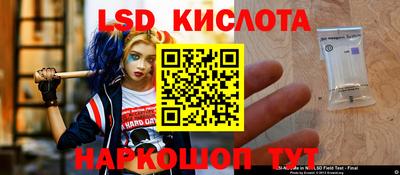 прущие грибы Лесосибирск