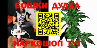 прущие грибы Лесосибирск